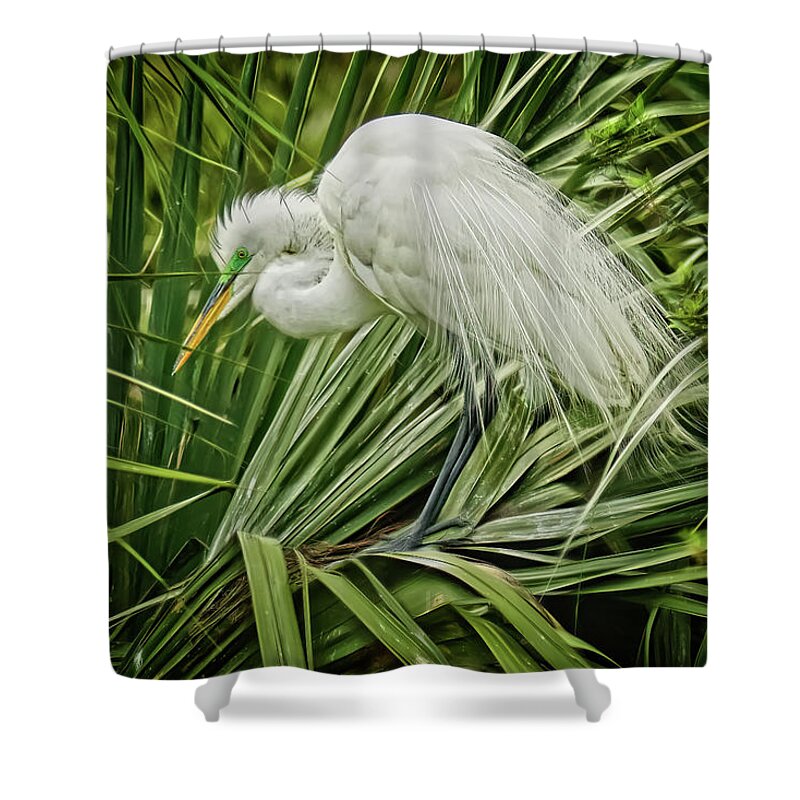 April Shower Curtain featuring the photograph Egret On The Hunt by Phill Doherty