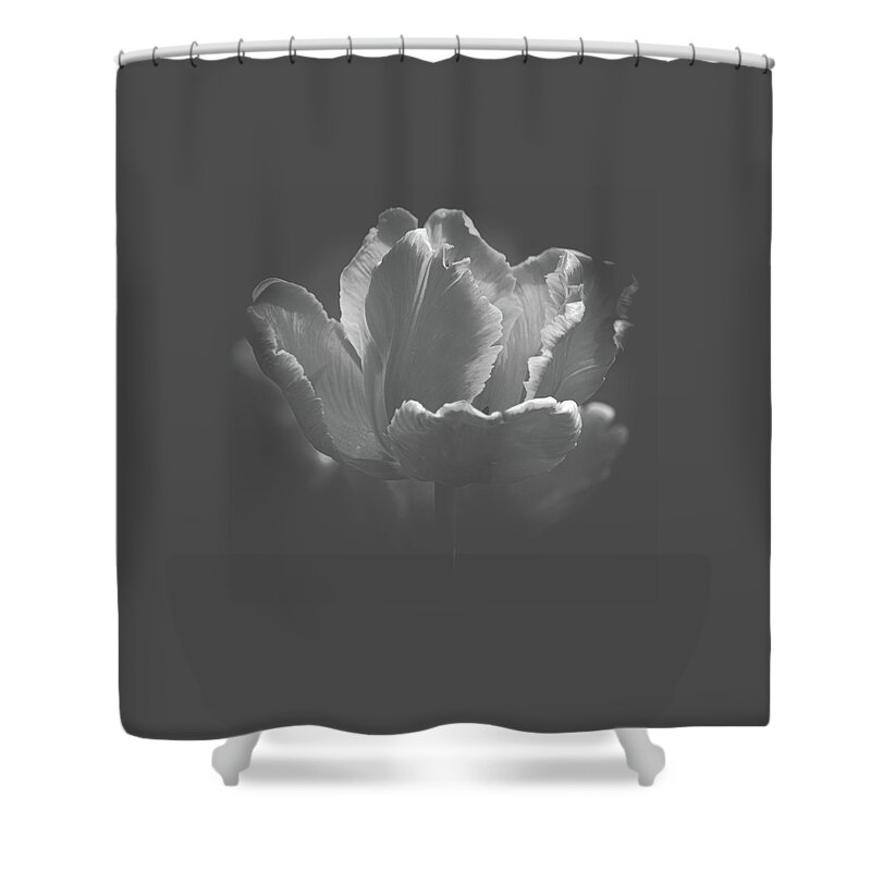 Art Shower Curtain featuring the photograph Elegant Tulip Black and White by Joan Han