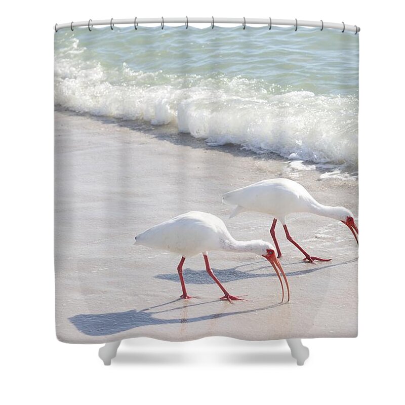 White Ibis Shower Curtain featuring the photograph Elegantly in Synch by Mingming Jiang