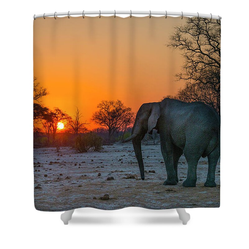 Africa Shower Curtain featuring the photograph Elephant at Sunset by Bill Cubitt