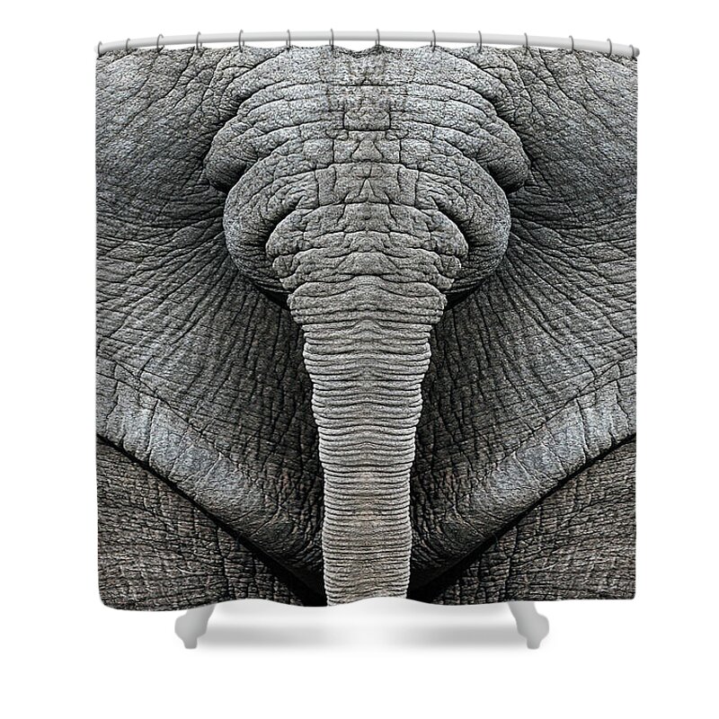 Animal Shower Curtain featuring the mixed media Elephant Hide by BFA Prints