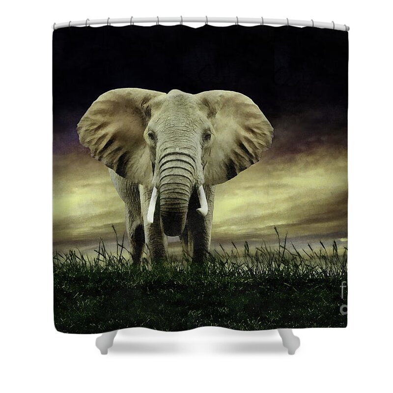 Elephant Shower Curtain featuring the digital art Elephant by Jerzy Czyz