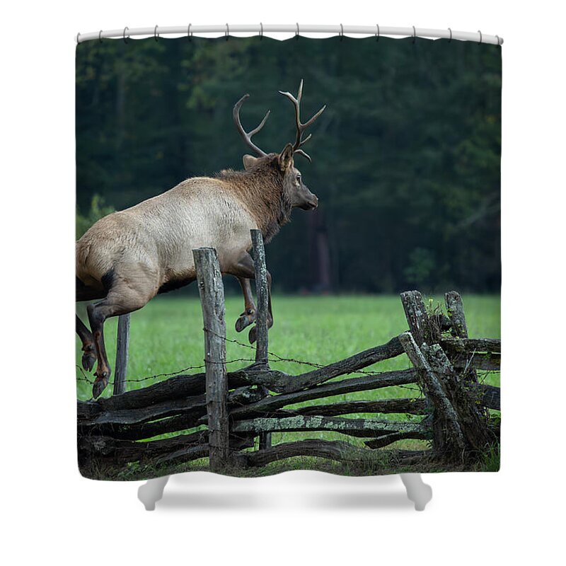 Elk Shower Curtain featuring the photograph Elk in the Air by Doug McPherson