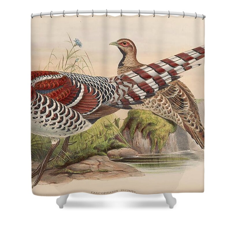 John Shower Curtain featuring the mixed media Elliot's Pheasant by World Art Collective
