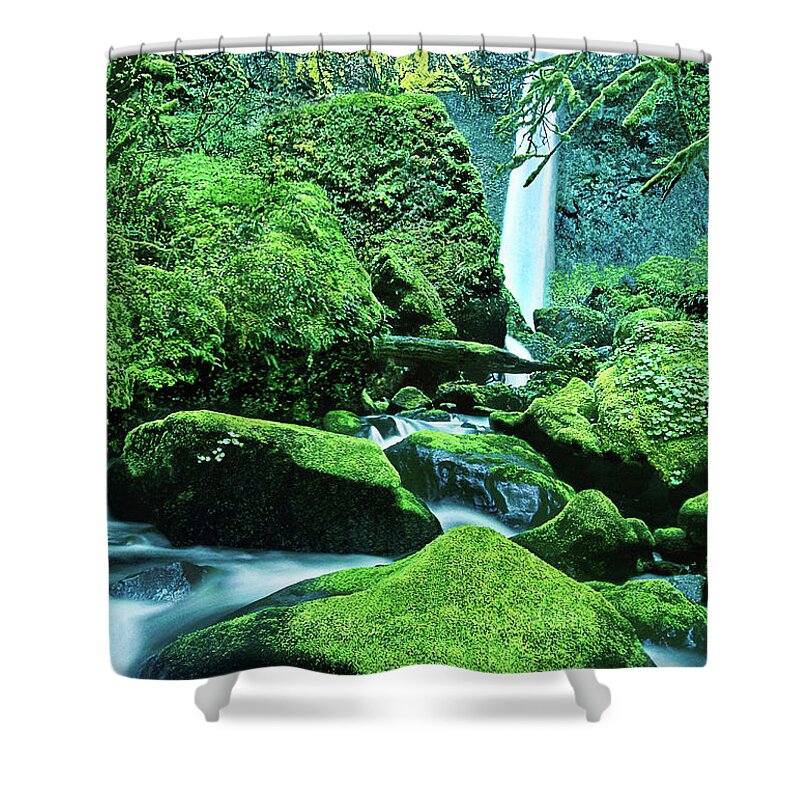 Dave Welling Shower Curtain featuring the photograph Elowah Falls 4 Columbia River Gorge National Scenic Area Oregon by Dave Welling