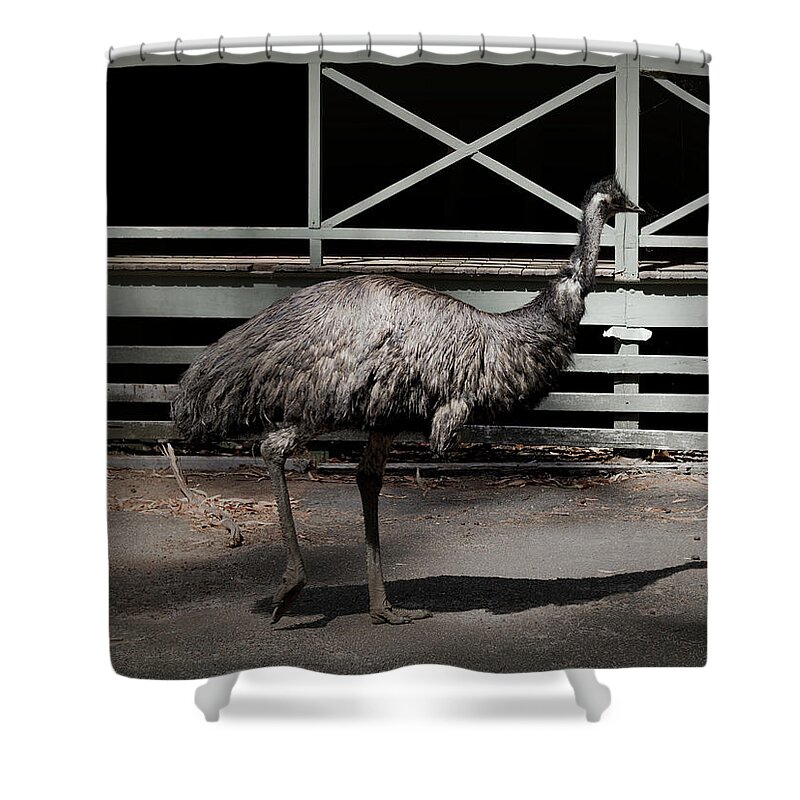 Emu Shower Curtain featuring the photograph Emu in Profile by Elaine Teague