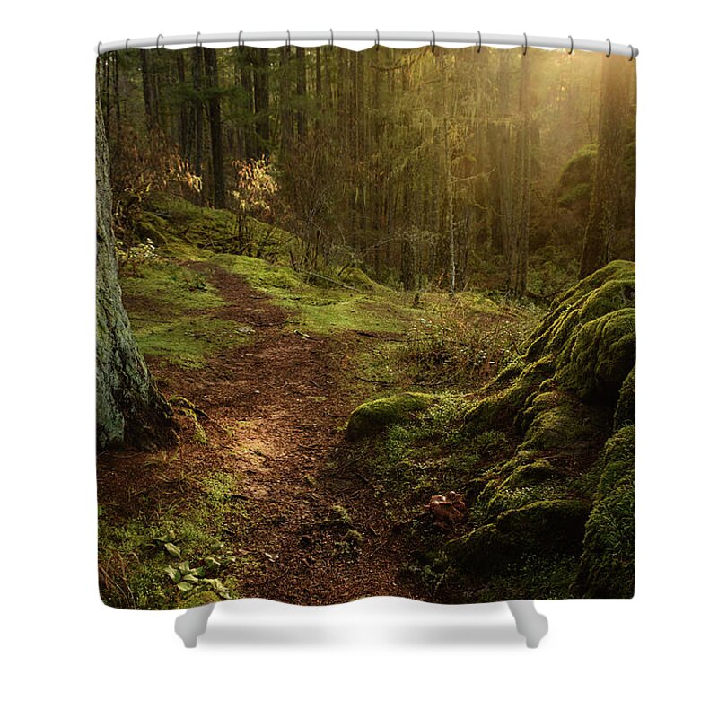 Forest Shower Curtain featuring the photograph Enchanted Temperate Rainforest by Naomi Maya