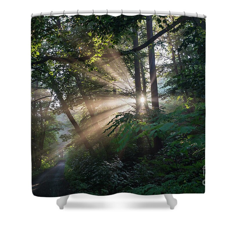 Magical Forest Shower Curtain featuring the photograph Enchanting sunlight in the forest 1 by Adriana Mueller