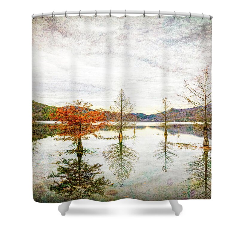 Nc Shower Curtain featuring the photograph End of Autumn by Todd Reese