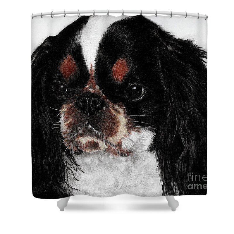English Toy Spaniel Shower Curtain featuring the drawing English Toy Spaniel by Terri Mills