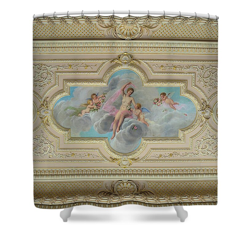 Palace Shower Curtain featuring the photograph Estoi Palace Ceiling by Angelo DeVal