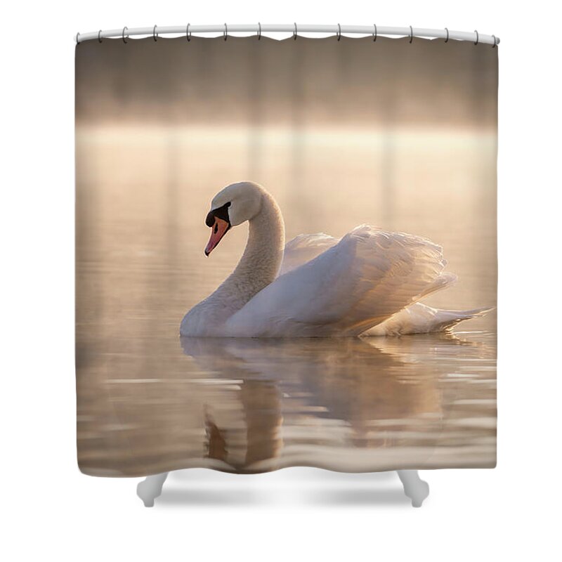 Blue Ridge Parkway Shower Curtain featuring the photograph Ethereal Morning by Robert J Wagner