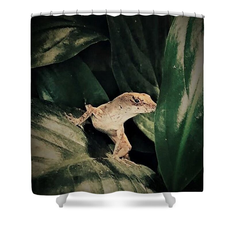 Animals St Augustine Beach Florida John Anderson Artist Shower Curtain featuring the photograph Evening Adventures by John Anderson