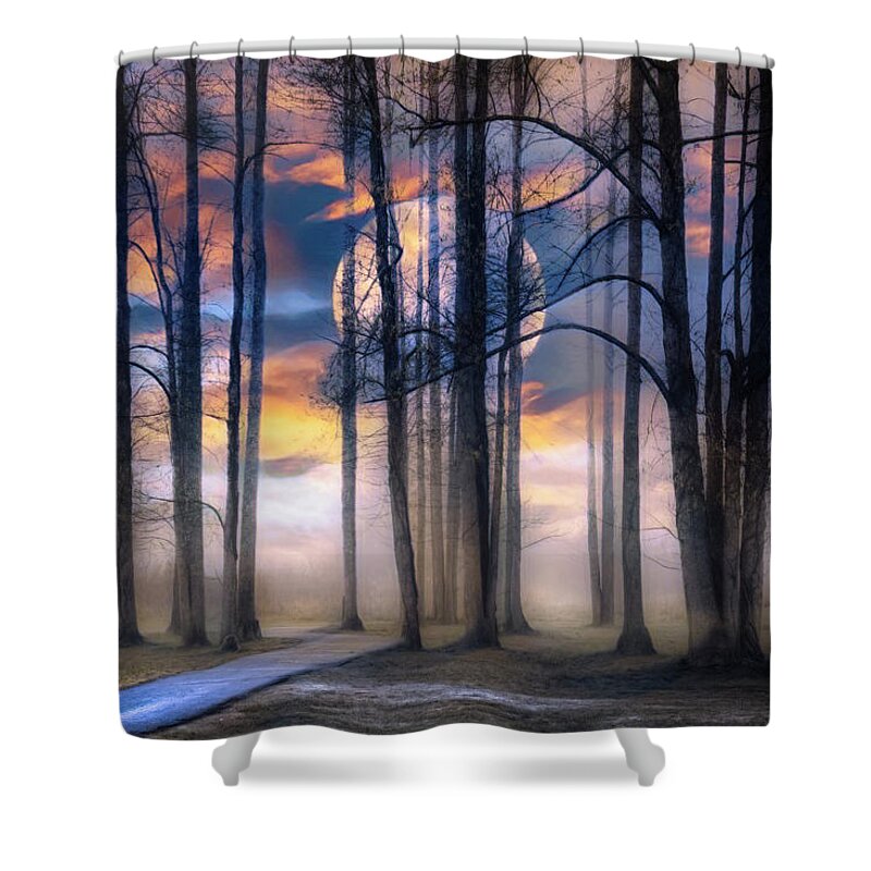 Trail Shower Curtain featuring the photograph Evening Mystery by Debra and Dave Vanderlaan