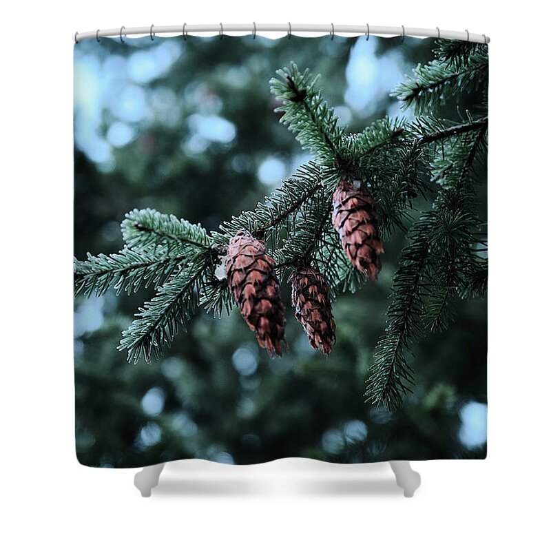 Landscape Shower Curtain featuring the photograph Everett Pine by Jermaine Beckley