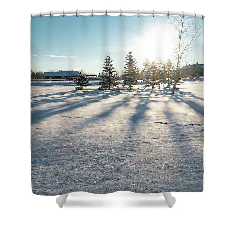 Evergreen Shower Curtain featuring the photograph Evergreen Shadows On Snow by Karen Rispin