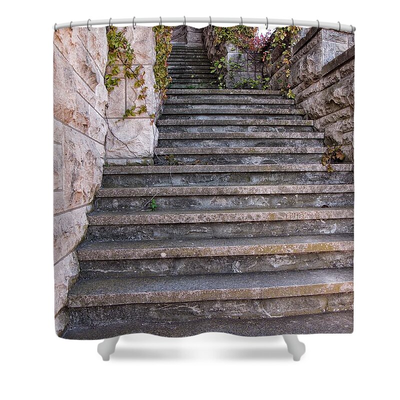 Steps Shower Curtain featuring the photograph Exterior Mansion Steps by Buck Buchanan