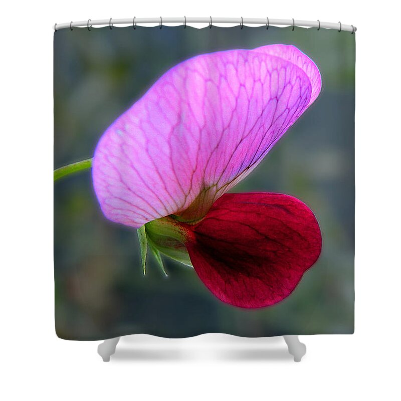 Flower Shower Curtain featuring the photograph Eye Jewel by Micki Findlay