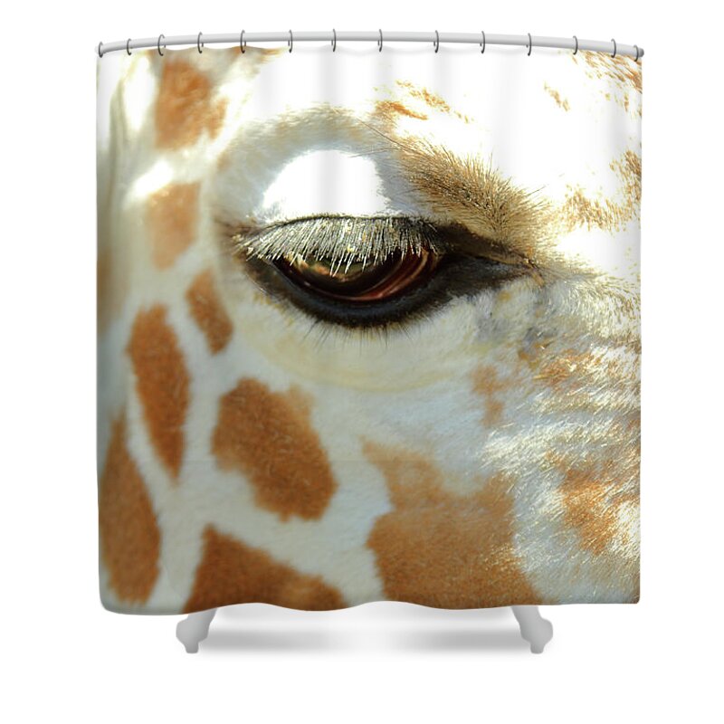 Animal Shower Curtain featuring the photograph Eye Lashes by Lens Art Photography By Larry Trager