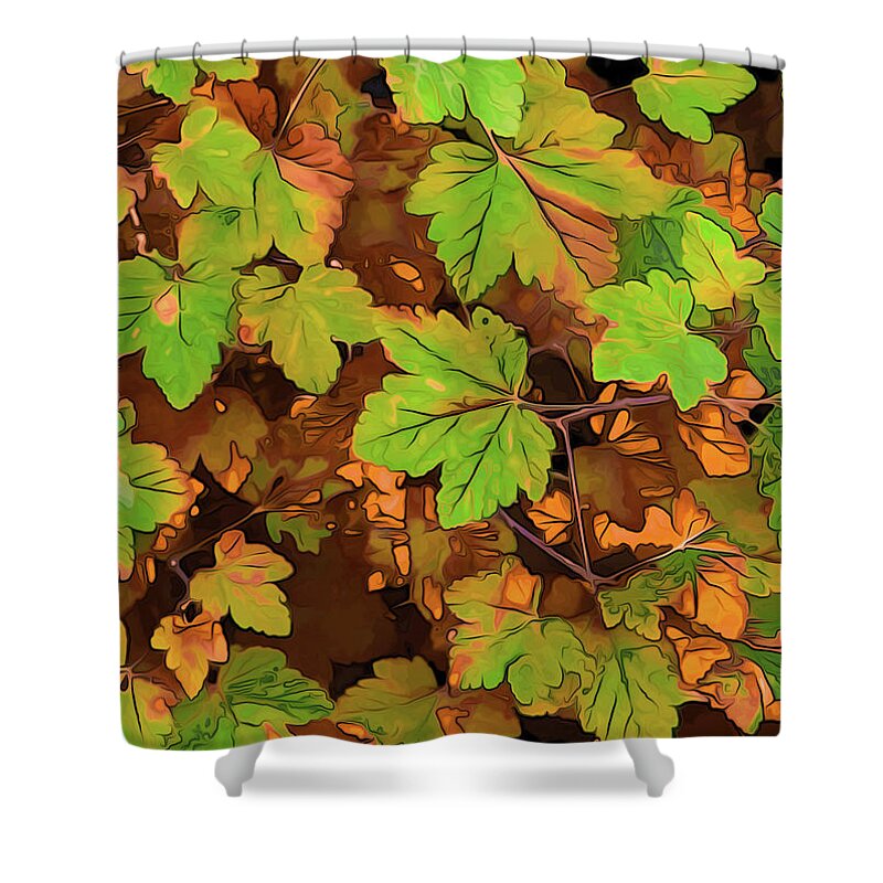 Foliage Shower Curtain featuring the photograph Fabulous Fall Foliage by Robert Blandy Jr