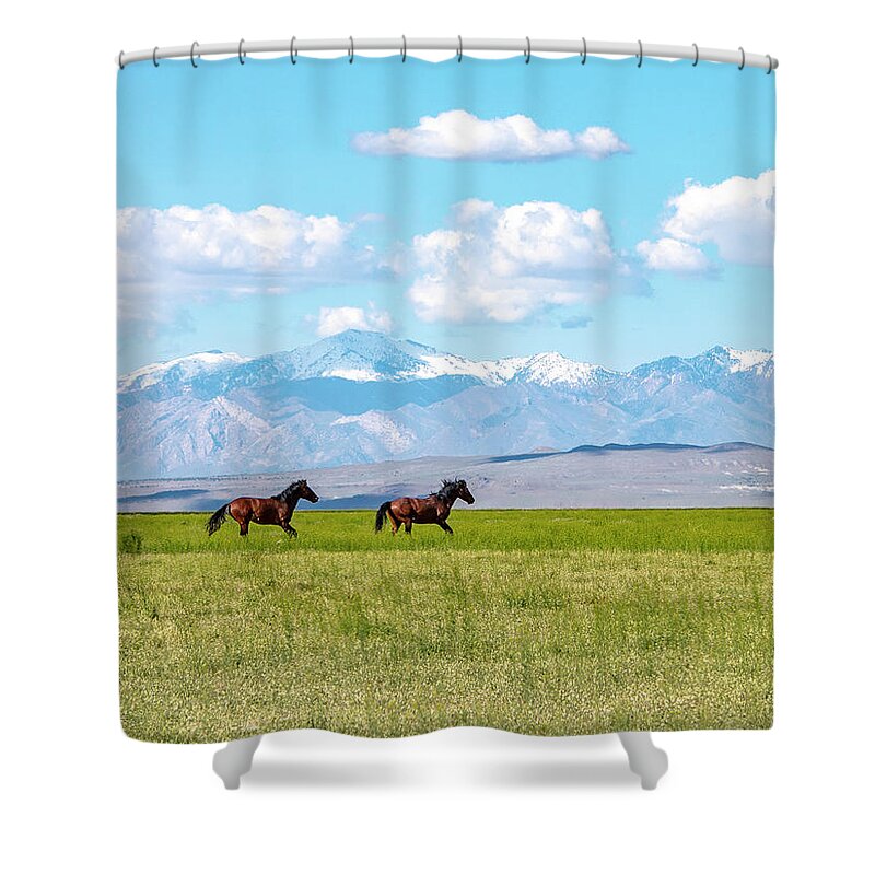  Shower Curtain featuring the photograph Face Mask Running in Grass by Dirk Johnson