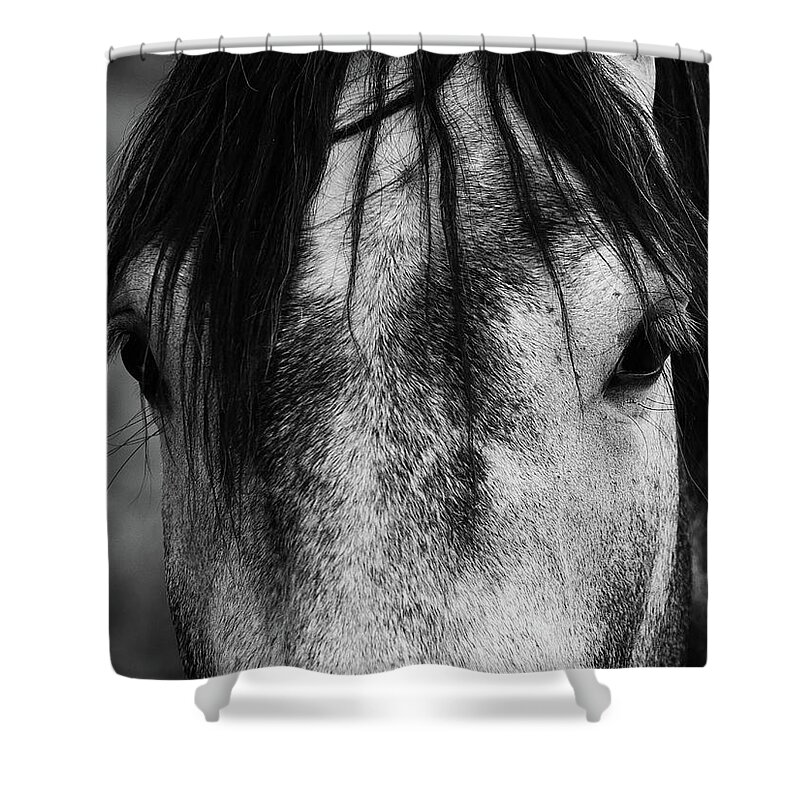 Gray Shower Curtain featuring the photograph Face Of A Horse by Nicklas Gustafsson