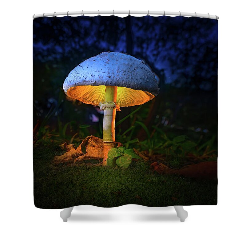 Mushroom Shower Curtain featuring the photograph Fairy Mushroom Lantern by Mark Andrew Thomas