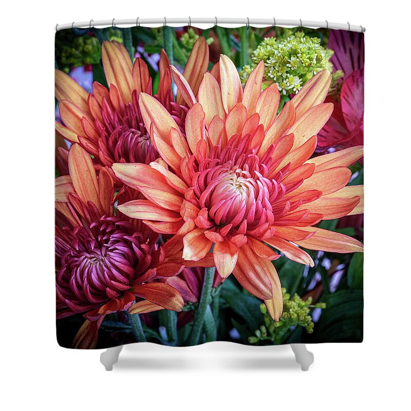 Chrysanthemums; Flowers; Orange; Fall Shower Curtain featuring the photograph Fall Chrysanthemums by Georgette Grossman