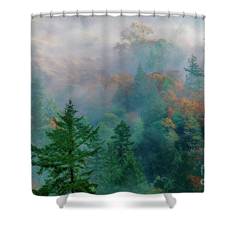 Dave Welling Shower Curtain featuring the photograph Fall Color In Fog California by Dave Welling