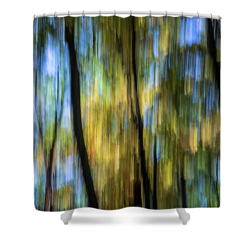 Abstract Vertical Motion Fall Yellow Gold Tree Trees Blue Energy Shower Curtain featuring the photograph Fall color by Robert Miller
