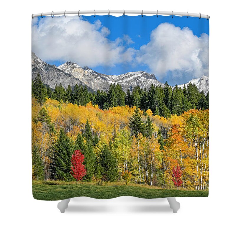 British Columbia Shower Curtain featuring the photograph Fall color, Rocky Mountains, BC, Canada by Michael Wheatley