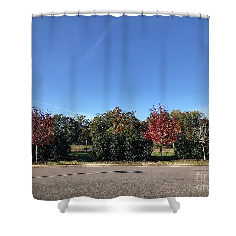 Fall Colors Shower Curtain featuring the photograph Fall Colors in Colonial Heights by Catherine Wilson