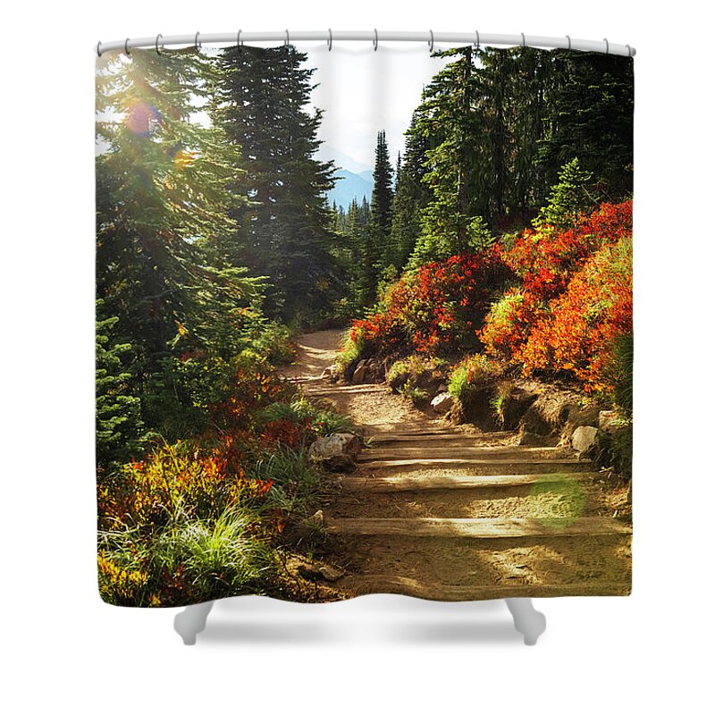Naches Peak Loop Trail Shower Curtain featuring the photograph Fall Colors by Mary Jane Armstrong