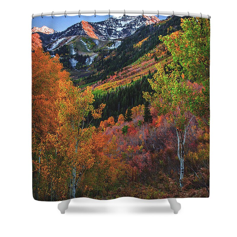 Aspen Shower Curtain featuring the photograph Fall Colors on Alpine Loop near Mt. Timpanogos - Vertical by Abbie Matthews