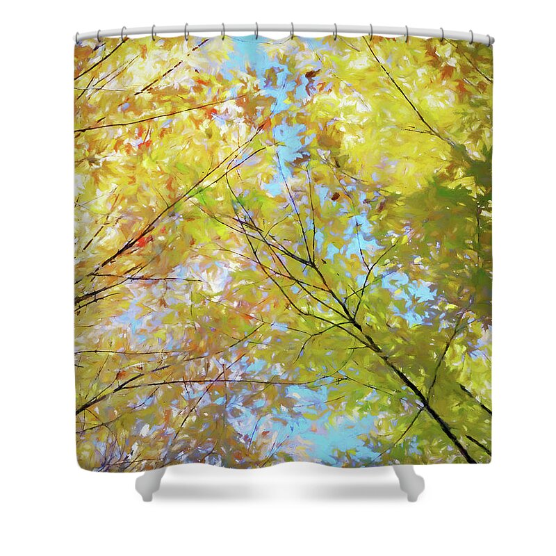 Autumn Branches Shower Curtain featuring the photograph Fall Flurry by Kathi Mirto