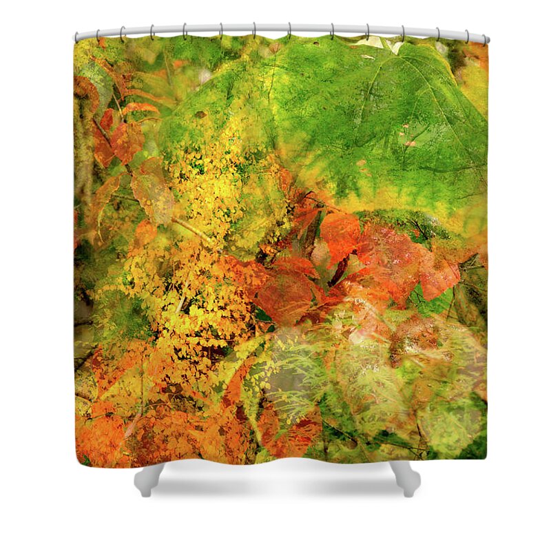 Photo Collage Shower Curtain featuring the digital art Fall Foliage Collage by Kristin Hatt