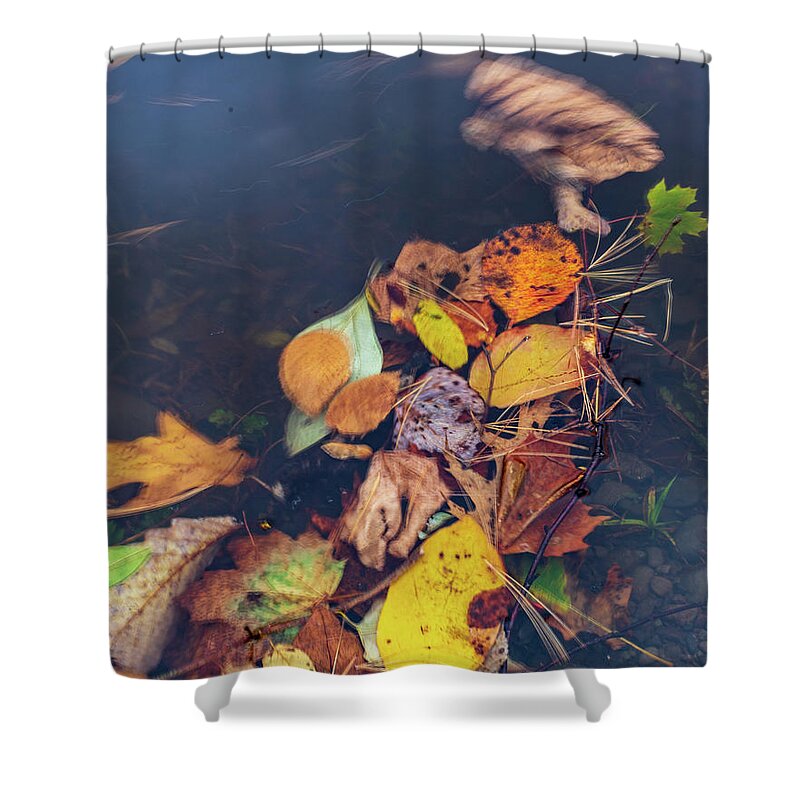 Fall Shower Curtain featuring the photograph Fall Leaves On The Water by Amelia Pearn
