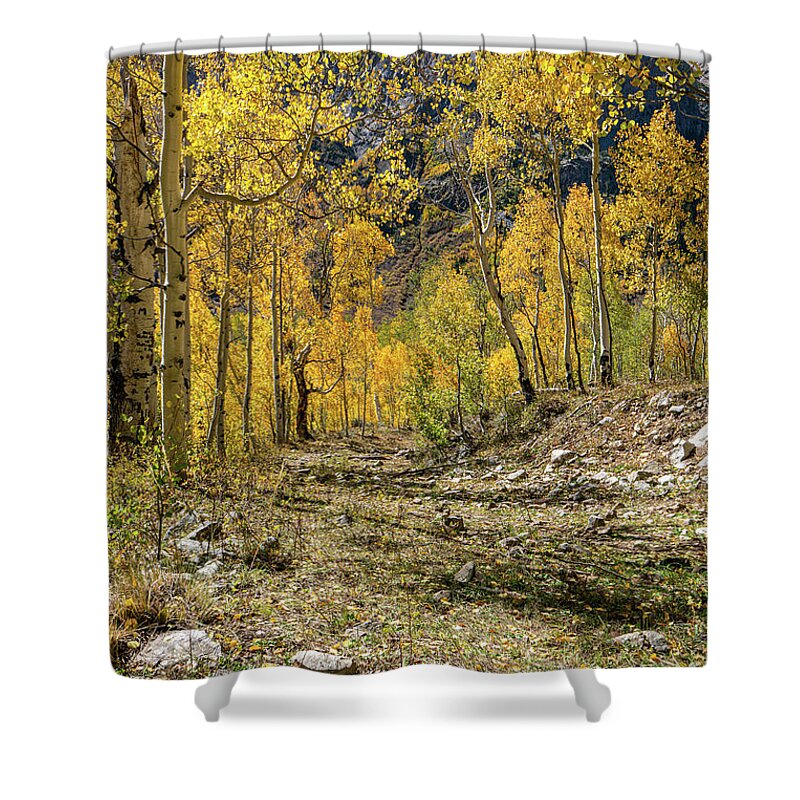 Aspens Shower Curtain featuring the photograph Fall Mountain Road by Ron Long Ltd Photography