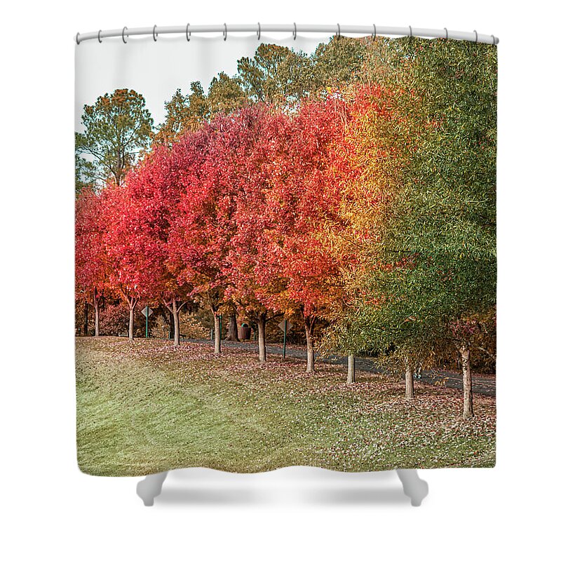 Fall Shower Curtain featuring the photograph Fall Rainbow by Rick Nelson