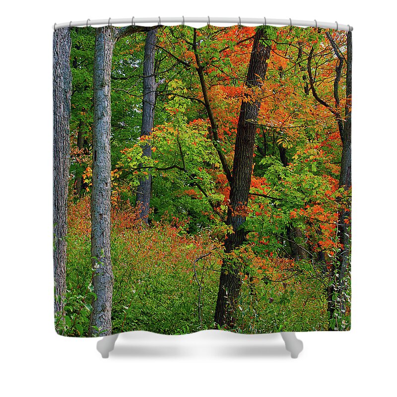Fall Shower Curtain featuring the photograph Fall Splendor by Virginia Folkman