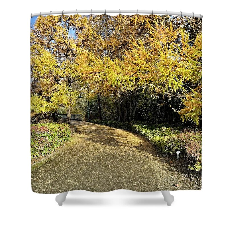 Gene Coulon Memorial Park Shower Curtain featuring the photograph Fall Walk by Suzanne Lorenz