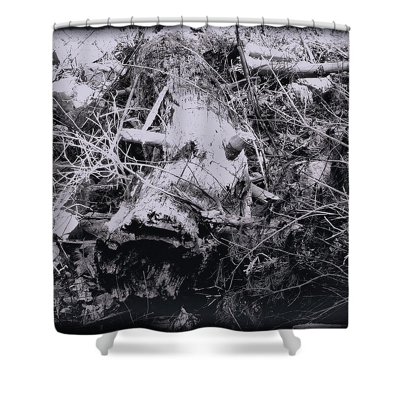 Tree Shower Curtain featuring the photograph Fallen Tree by Christopher Reed