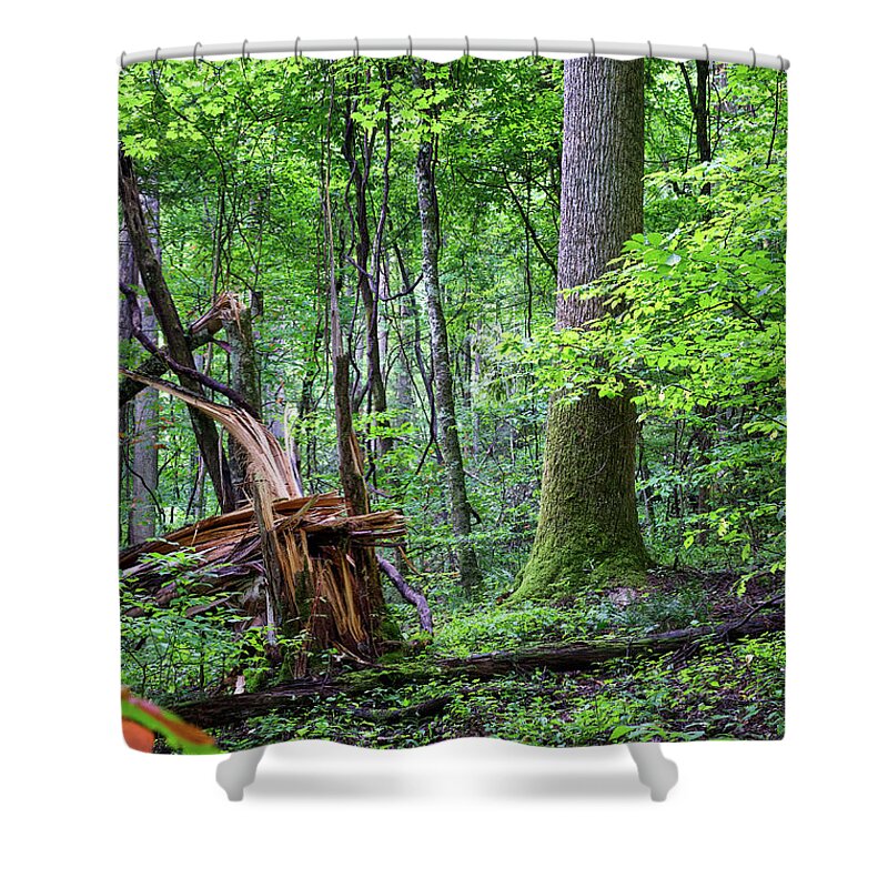 Tree Shower Curtain featuring the digital art Fallen Tree by Phil Perkins