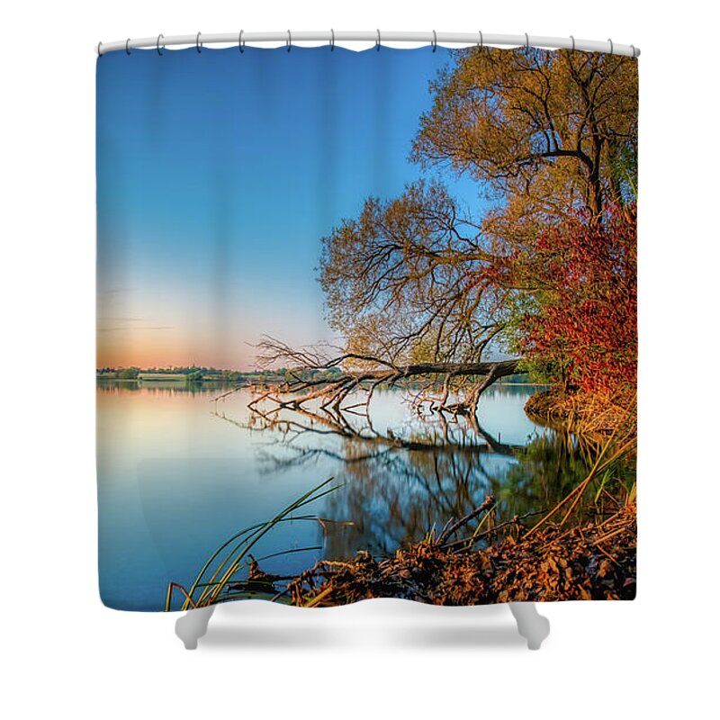 Trees Shower Curtain featuring the photograph Fallen Tree Reflection by Dee Potter
