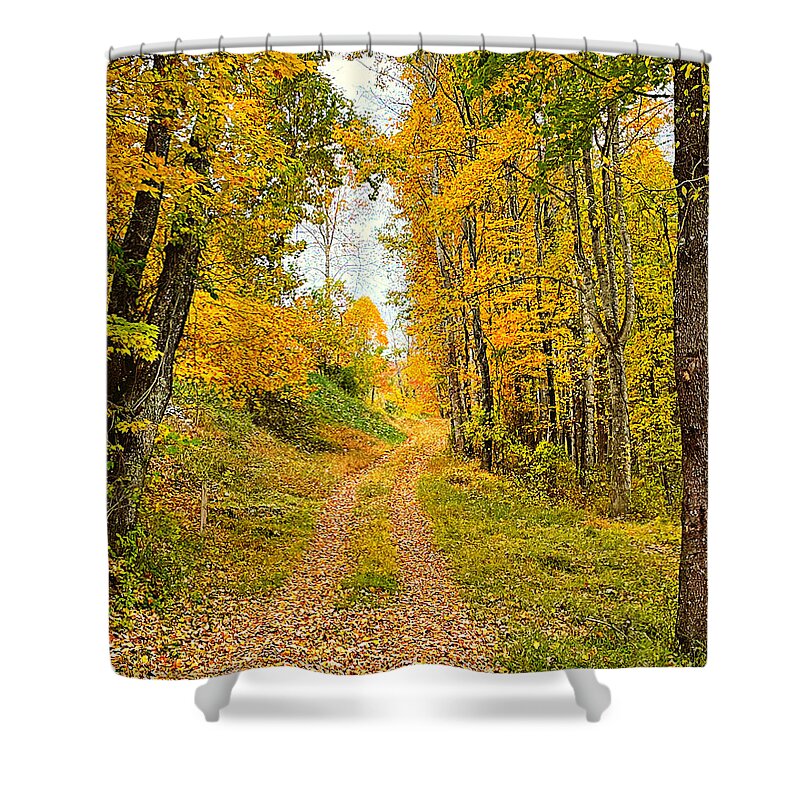 Boone Shower Curtain featuring the photograph Fall's Path Home by Lee Darnell