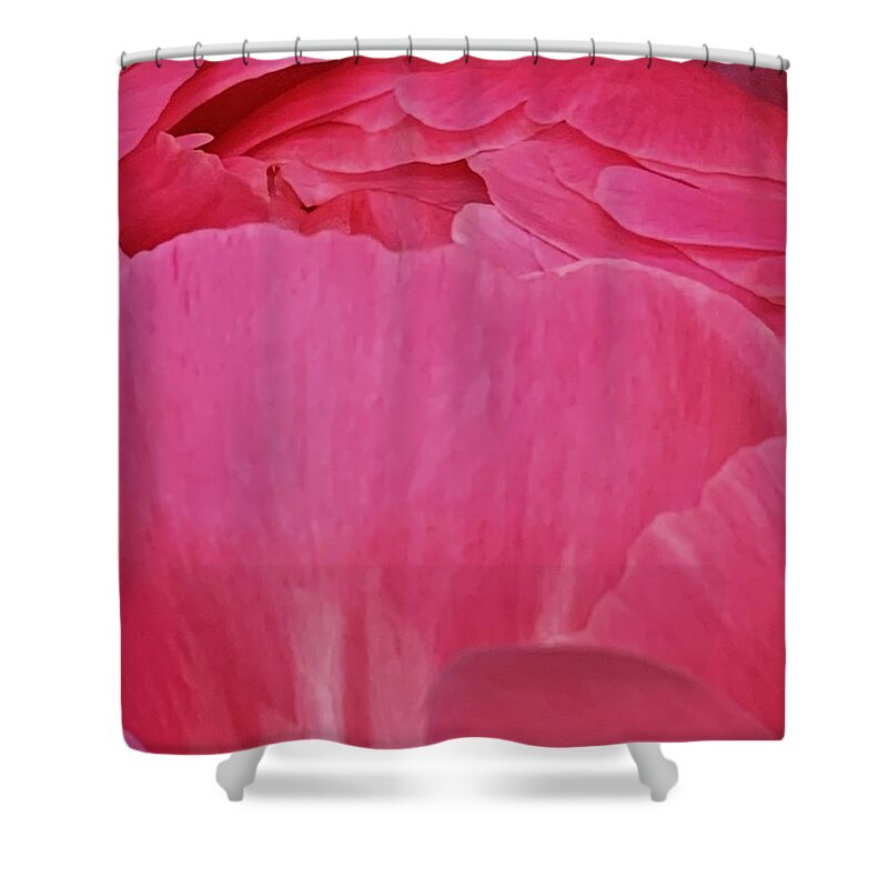 Peony Shower Curtain featuring the photograph Fan Dancer by Tiesa Wesen
