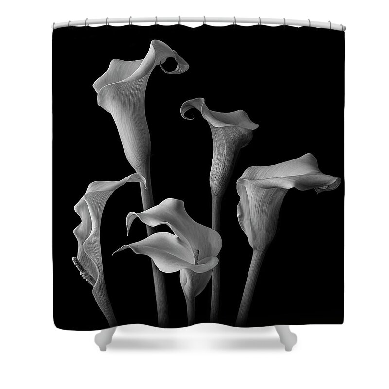 Art Prints Shower Curtain featuring the photograph Fancy Party - Black and White Color Lilies Art Photo Decorative Print by Lily Malor