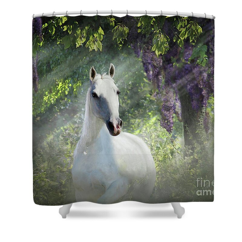 Wisteria In Trees Shower Curtain featuring the digital art Fantasy Orchard by Melinda Hughes-Berland