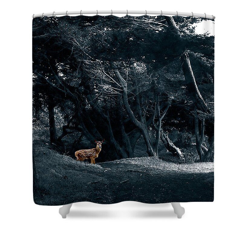Deer Shower Curtain featuring the photograph Fawn in a Blue Cypress Wood by Wayne King