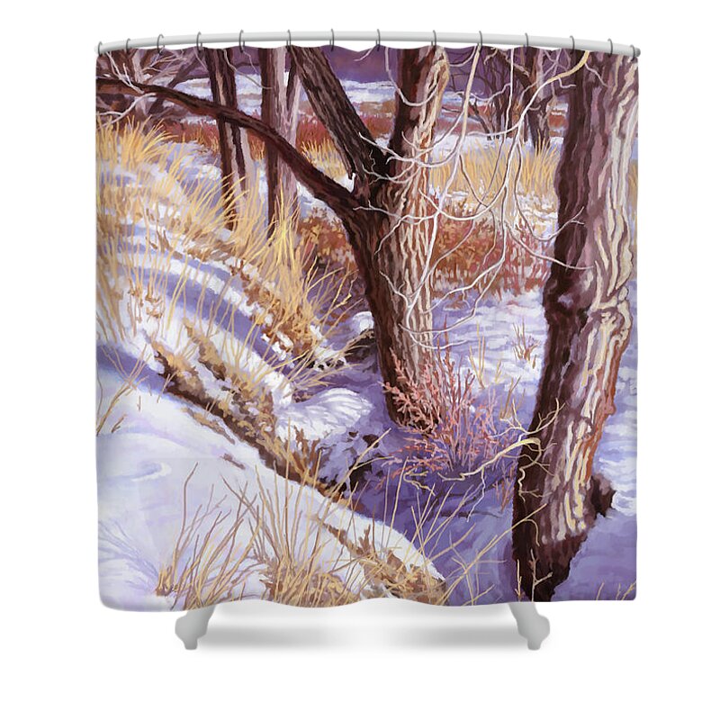 Minnesota Shower Curtain featuring the painting February in Minnesota by Hans Neuhart